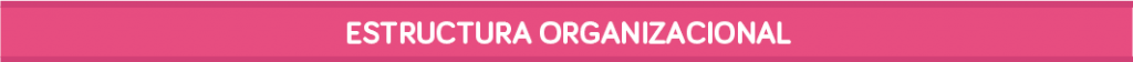 Estructura Organizacional